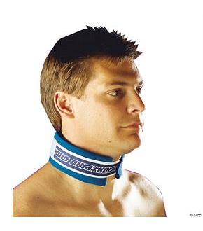 Kold Kollar With Ice Insert