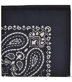 Bandana Blue