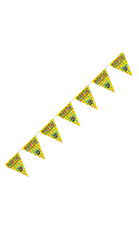 Fiesta! Pennant Banner