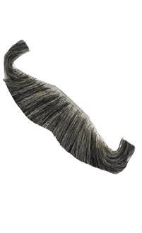 Mustache English Grey Human