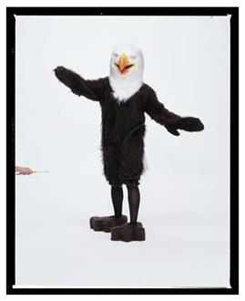 American Eagle Complete Costume