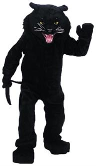 Panther Black Mascot Complete Costume