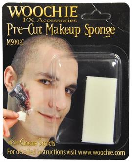 2 Sponges Carded Accessory Kit