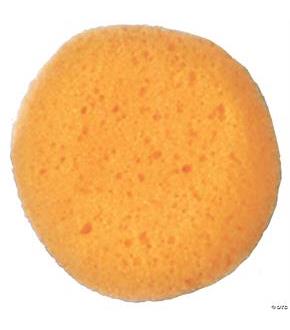Sponge Cosmetic
