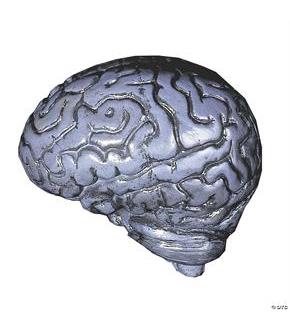 Brain-Human Grey