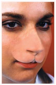 Cat Nose