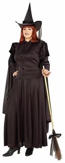 Classic Witch Adult Plus Costume