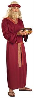 Wiseman Adult Costume