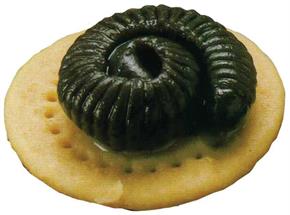 Centipede Finger Food