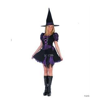 Witch Purple Punk Adult Costume