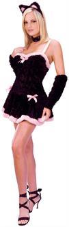 Kiss Me Kitty Adult