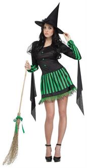 Wicked Witch Adlt Md