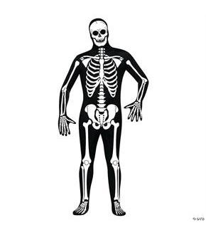 Skin Suit Skeleton Adult Std