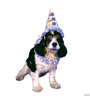 Pet Costume Clown