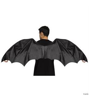 Wings Dragon Adult