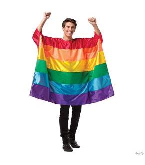 Flag Tunic Rainbow Adult