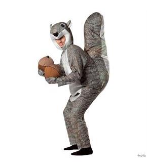 Squirrel Adult