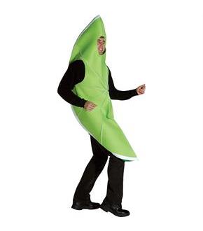 Lime Costume Adult