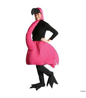 Flamingo Costume