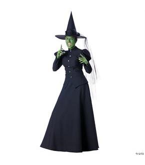 Wizard Of The Oz Witch Costume