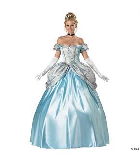 Enchanting Princess Costume