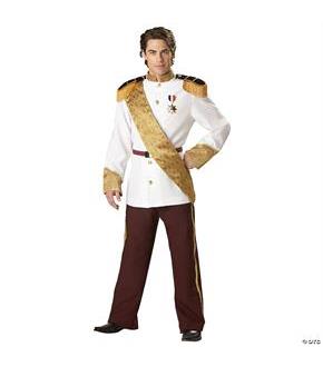 Prince Charming Costume