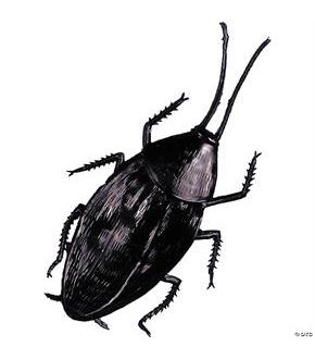Cockroach Giant