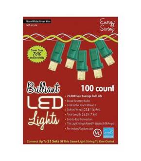 Holiday Lights 100L M5 Wrm Wt