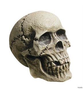 Rotting Skull Prop