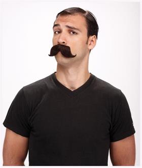 Mustache The English Brown
