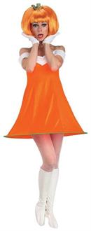 Pumpkin Spice Adult Costume