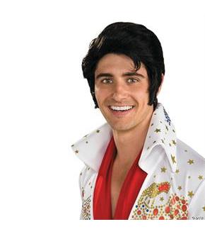 Elvis Wig