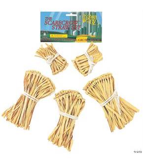 Wizard Of Oz Scarecrow Straw