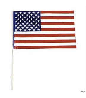 Flag Plastic US 12