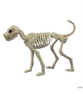 Buster Bonez
