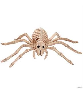 Spider Skeleton