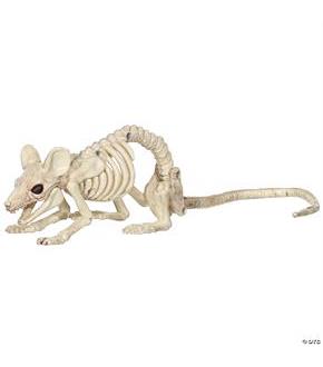 Mouse Crawling Skeleton