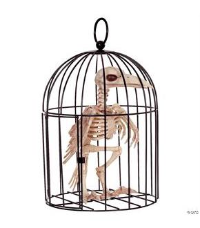 Skeleton Crow In Cage