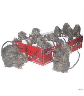 Rat Mini Single Assorted