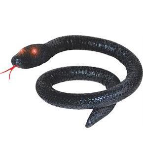 Black Snake W Light Eyes