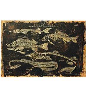 Skeleton Fish Canvas W/O Frame