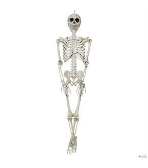 Skeleton 36 Inch