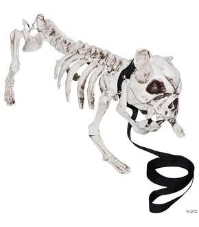 Skeleton Dog