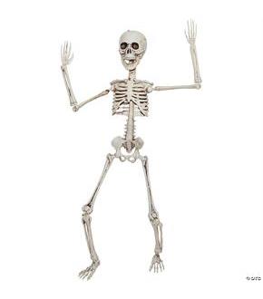 Poseable Skeleton 20 In