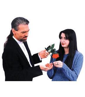 Wilting Red Rose