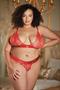 Lace peek-a-boo bralette and Ouverte Panty Set