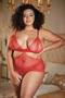Lace Peek-a-boo Chemise and Ouverte G-string