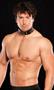 Riveted Collar Riveted Collar