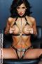 Leather and Chain Harness Teddy