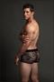 Lace Boxer